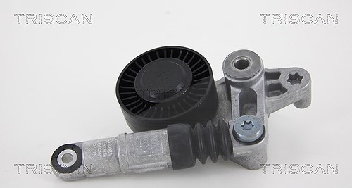 Triscan Riemenspanner, Keilrippenriemen [Hersteller-Nr. 8641293039] für VW, Audi, Porsche