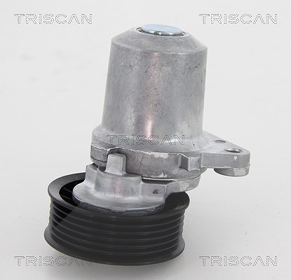Triscan Spannrolle, Keilrippenriemen [Hersteller-Nr. 8641503003] für Mazda
