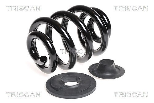 Triscan Fahrwerksfeder [Hersteller-Nr. 875029150] für VW
