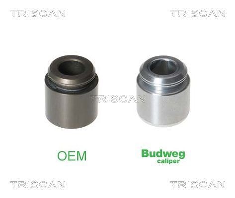 Triscan Kolben, Bremssattel [Hersteller-Nr. 8170232803] für BMW, Volvo, Jeep, Tesla