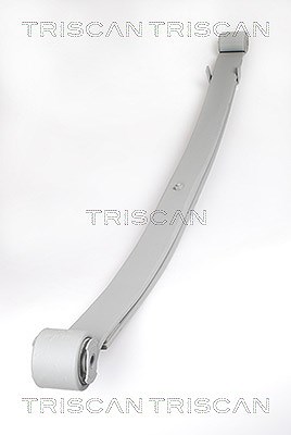 Triscan Federnpaket [Hersteller-Nr. 876510005] für Peugeot, Fiat, Citroën