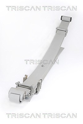Triscan Federnpaket [Hersteller-Nr. 876542010] für Mitsubishi