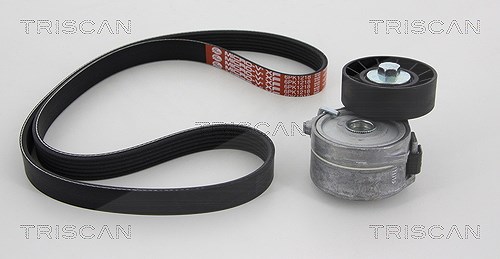 Triscan Keilrippenriemensatz [Hersteller-Nr. 864210013] für Volvo, Ford, Citroën, Fiat, Lancia, Peugeot