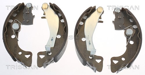 Triscan Bremsbackensatz, Trommelbremse [Hersteller-Nr. 810010488] für Peugeot, Citroën, Mega