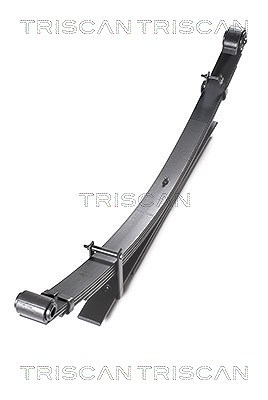 Triscan Federnpaket (Blattfeder) Hinterachse [Hersteller-Nr. 876513022] für Toyota