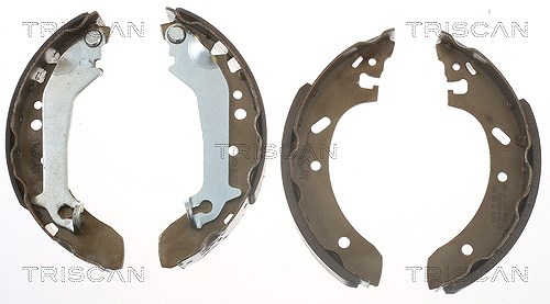 Triscan Bremsbackensatz Trommelbremse Hinterachse [Hersteller-Nr. 810016587] für Ford