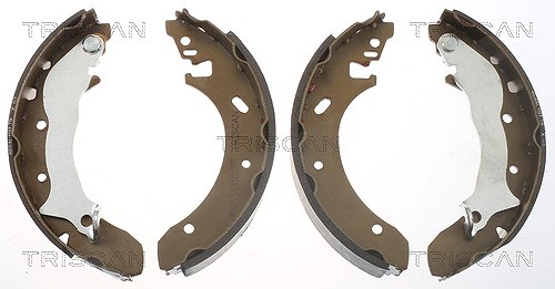 Triscan Bremsbackensatz Trommelbremse Hinterachse [Hersteller-Nr. 810016559] für Ford