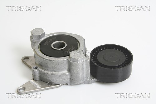 Triscan Riemenspanner, Keilrippenriemen [Hersteller-Nr. 8641133003] für Toyota, Lexus