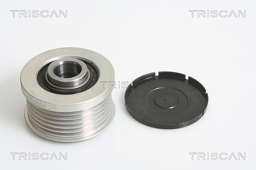 Triscan Generatorfreilauf [Hersteller-Nr. 8641104012] für Peugeot, Citroën, Fiat