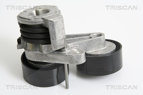 Triscan Riemenspanner, Keilrippenriemen [Hersteller-Nr. 8641113026] für BMW