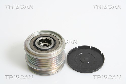 Triscan Generatorfreilauf [Hersteller-Nr. 8641104015] für Volvo, Ford
