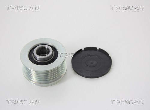 Triscan Generatorfreilauf [Hersteller-Nr. 8641244004] für Lancia, Vauxhall, Citroën, Chrysler, Alfa Romeo, Fiat, Opel, Renault, Peugeot