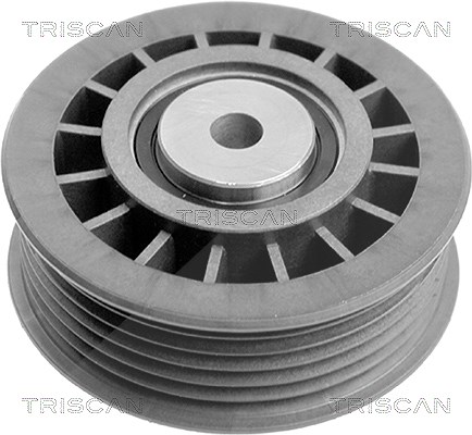 Triscan Umlenk-/Führungsrolle, Keilrippenriemen [Hersteller-Nr. 8641231001] für Puch, Mercedes-Benz