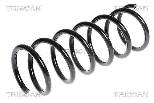 Triscan Fahrwerksfeder [Hersteller-Nr. 875016080] für Ford
