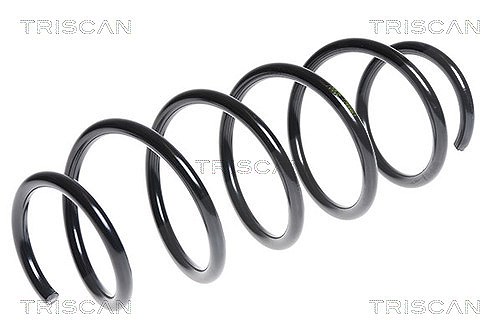 Triscan Fahrwerksfeder [Hersteller-Nr. 875016072] für Ford
