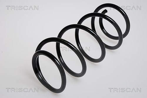Triscan Fahrwerksfeder [Hersteller-Nr. 875024005] für Vauxhall, Opel