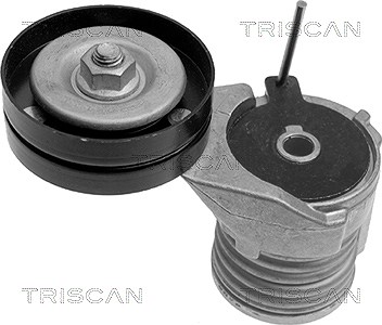 Triscan Spannarm, Keilrippenriemen [Hersteller-Nr. 8641293002] für Skoda, Seat, VW, Audi