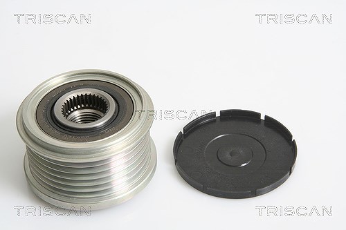 Triscan Generatorfreilauf [Hersteller-Nr. 8641284001] für Fiat, Citroën, Lancia, Peugeot