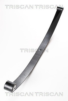 Triscan Federnpaket [Hersteller-Nr. 876515001] für Fiat