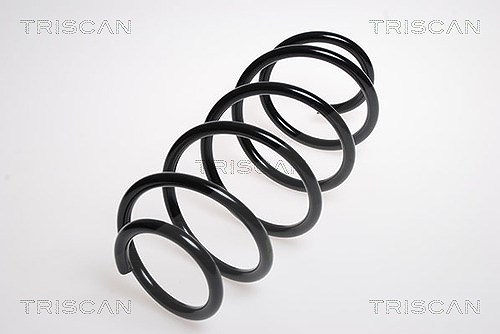 Triscan Fahrwerksfeder [Hersteller-Nr. 875016047] für Ford