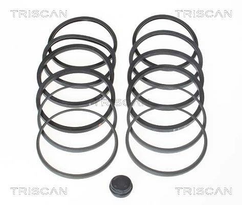 Triscan Reparatursatz, Bremssattel [Hersteller-Nr. 8170204602] für Ford, Daf, Land Rover