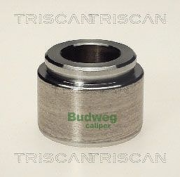 Triscan Kolben, Bremssattel [Hersteller-Nr. 8170234003] für BMW, Alfa Romeo