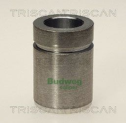 Triscan Kolben, Bremssattel [Hersteller-Nr. 8170233206] für Mazda