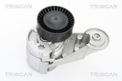 Triscan Spannarm, Keilrippenriemen [Hersteller-Nr. 8641273002] für Volvo