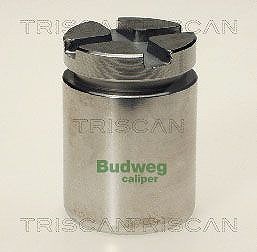 Triscan Kolben, Bremssattel [Hersteller-Nr. 8170233414] für Suzuki, Fiat, Honda, Rover, Acura