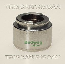 Triscan Kolben, Bremssattel [Hersteller-Nr. 8170234007] für Opel, Vauxhall