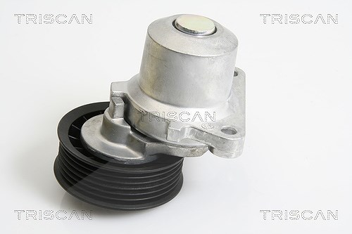 Triscan Spannarm, Keilrippenriemen [Hersteller-Nr. 8641103033] für Ford, Mazda