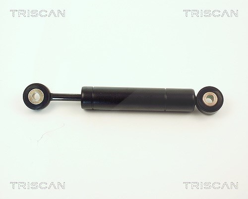 Triscan Schwingungsdämpfer, Keilrippenriemen [Hersteller-Nr. 87102311] für Mercedes-Benz