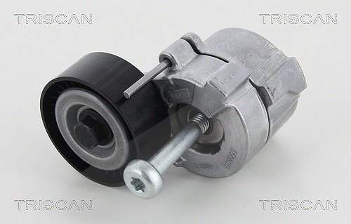 Triscan Spannarm, Keilrippenriemen [Hersteller-Nr. 8641103034] für Fiat, Opel, Saab, Suzuki, Alfa Romeo, Cadillac, Lancia