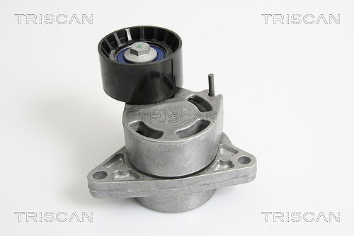 Triscan Riemenspanner, Keilrippenriemen [Hersteller-Nr. 8641103030] für Renault, Nissan, Vauxhall, Opel