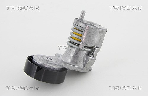 Triscan Riemenspanner, Keilrippenriemen [Hersteller-Nr. 8641103028] für Volvo, Ford