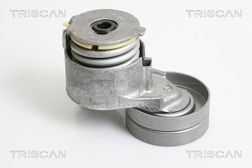 Triscan Spannarm, Keilrippenriemen [Hersteller-Nr. 8641103027] für Vauxhall, Nissan, Mitsubishi, Volvo, Renault, Opel