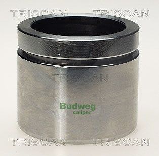 Triscan Kolben, Bremssattel [Hersteller-Nr. 8170236003] für Ford, Audi