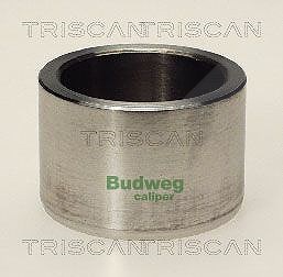 Triscan Kolben, Bremssattel [Hersteller-Nr. 8170234602] für Daf, Land Rover, Ldv, Ford