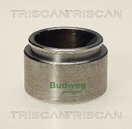 Triscan Kolben, Bremssattel [Hersteller-Nr. 8170234317] für Daimler, Jaguar