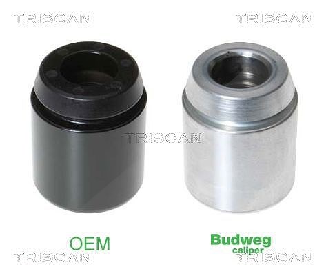 Triscan Kolben, Bremssattel [Hersteller-Nr. 8170234231] für Mercedes-Benz
