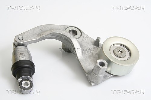 Triscan Riemenspanner, Keilrippenriemen [Hersteller-Nr. 8641403001] für Honda