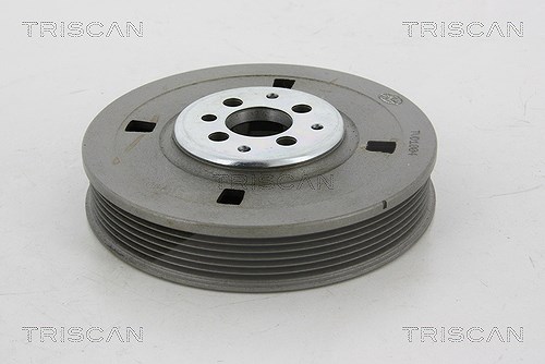 Triscan Riemenscheibe, Kurbelwelle [Hersteller-Nr. 864310002] für Ford, VW, Seat, Audi