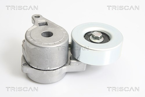 Triscan Riemenspanner, Keilrippenriemen [Hersteller-Nr. 8641423001] für Mitsubishi