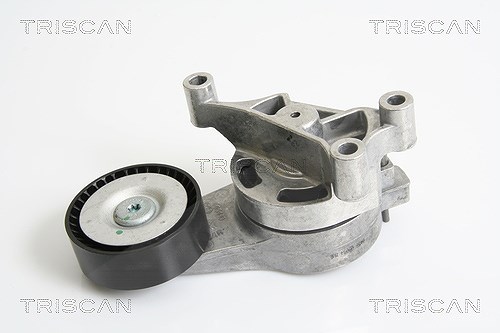 Triscan Riemenspanner, Keilrippenriemen [Hersteller-Nr. 8641293028] für VW, Audi, Seat, Skoda