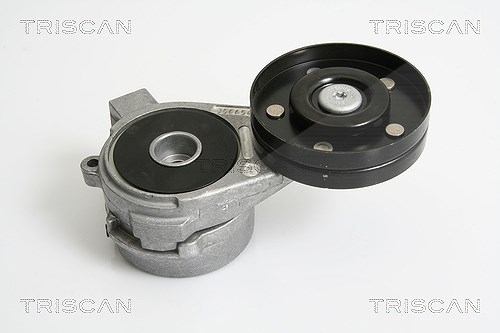 Triscan Spannarm, Keilrippenriemen [Hersteller-Nr. 8641653003] für Saab