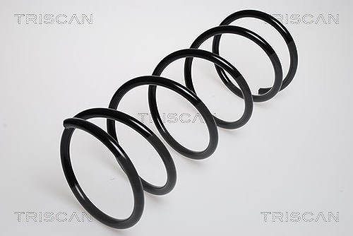 Triscan Fahrwerksfeder [Hersteller-Nr. 87501690] für Ford