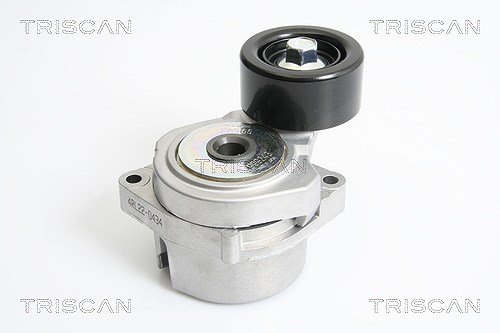 Triscan Spannarm, Keilrippenriemen [Hersteller-Nr. 8641403002] für Honda