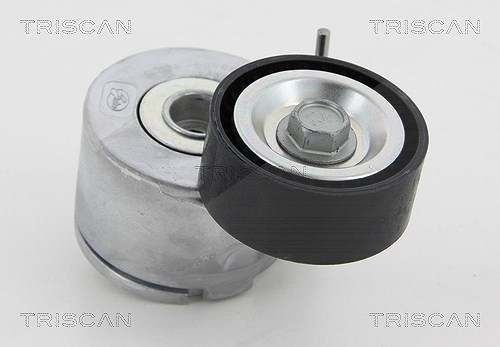 Triscan Spannrolle, Keilrippenriemen [Hersteller-Nr. 8641283006] für Peugeot, Fiat, Citroën