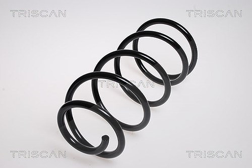 Triscan Fahrwerksfeder [Hersteller-Nr. 875016043] für Ford