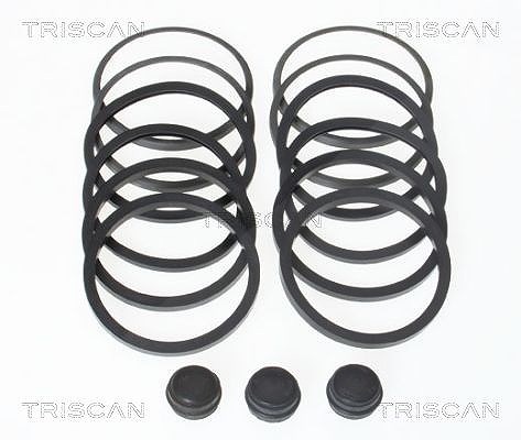 Triscan Reparatursatz, Bremssattel [Hersteller-Nr. 8170201581] für Iveco, Ford, Ldv, Land Rover
